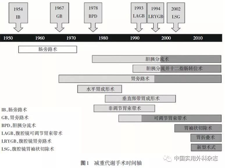 减肥手术新进展，探索最新技术及其影响