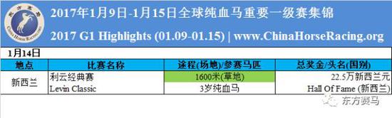 最新马会资料，探索赛马运动的最新趋势与资讯