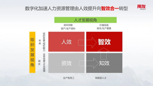 最新人事名单，企业变革与人才战略的新篇章