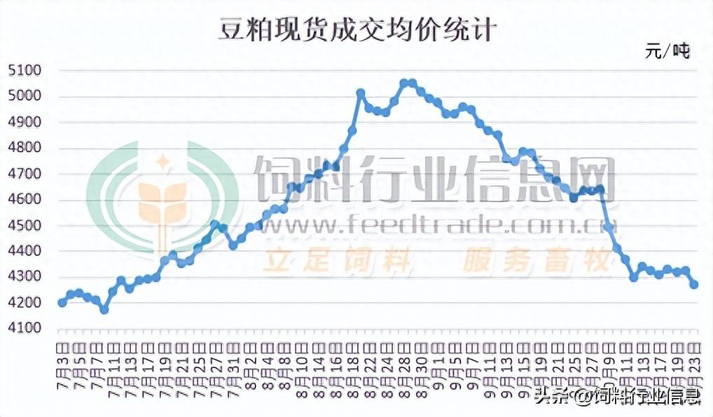 今天豆粕最新报价，市场趋势、影响因素及未来展望