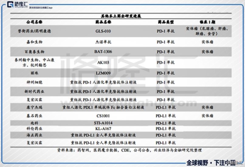 医药股票最新动态，投资机遇与挑战并存