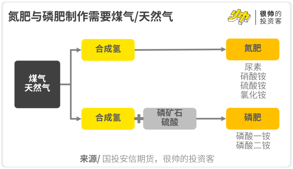 最新粮食危机官方应对举措与全球影响分析