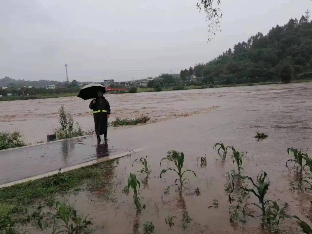 赤水暴雨最新预警，自然之力与人类应对的较量