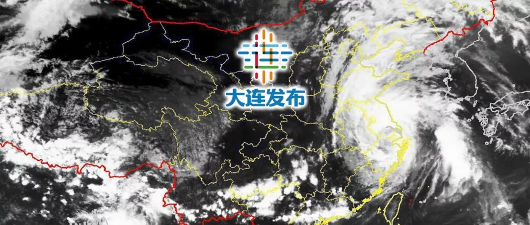 台风最新信息大连，风雨中的城市守望