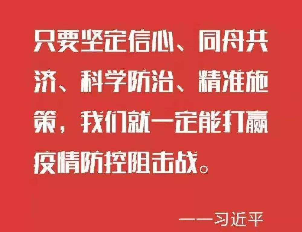 诃南最新疫情，全面防控与民生保障的双重挑战