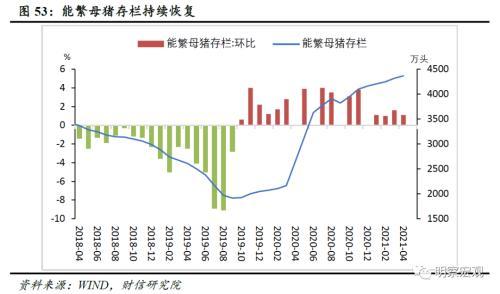 丙料最新价格，市场趋势、影响因素及未来展望