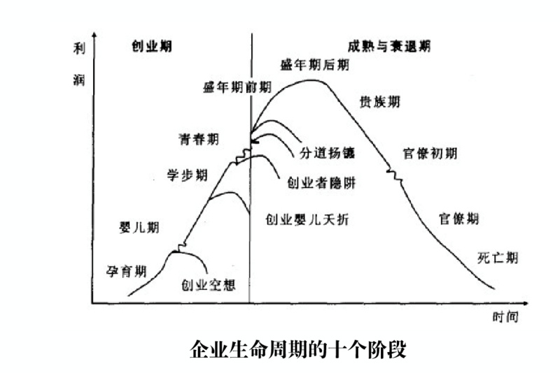 曦域资本最新动态，深耕金融科技，引领创新投资新篇章