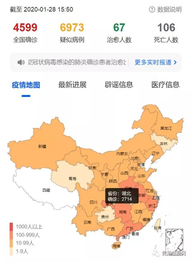 疫情最新动态实时，全球抗疫进展与挑战