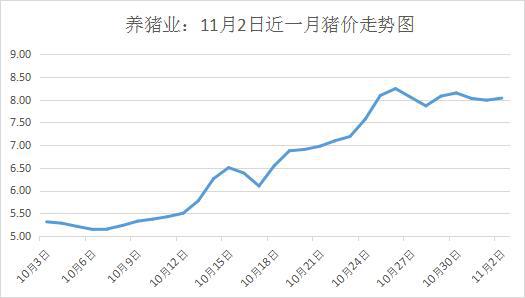 最新明日生猪价格，市场趋势、影响因素及未来预测