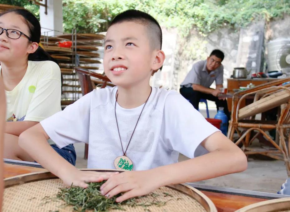 最新茶杯图片，探索茶文化的时尚新篇章