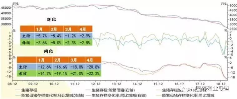 猪价最新行情山西，市场波动与影响因素分析