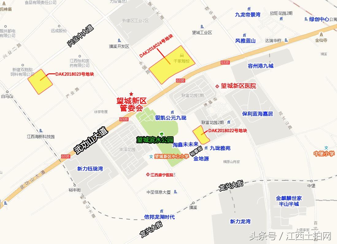 新力龙湾最新房价，市场趋势、购房指南与未来展望