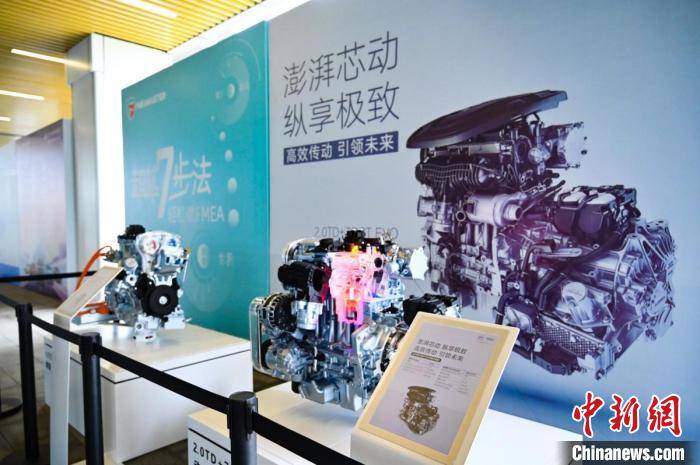 文仔家最新测评，品质与创新的双重飞跃