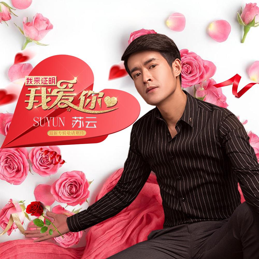 苏云最新歌曲，音乐与情感的深度对话