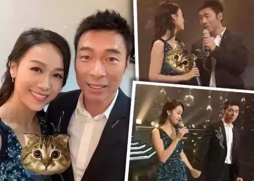 郑秀文演唱会最新，音乐旅程的璀璨篇章