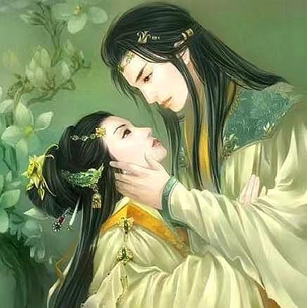 狼大郎最新小说，穿越异界之狼行天下