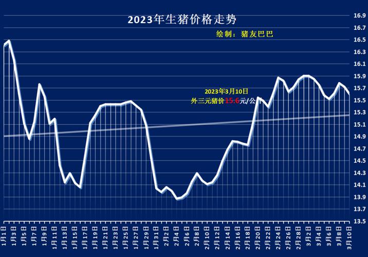 毛猪今日价格最新行情，市场波动背后的深层原因与未来展望