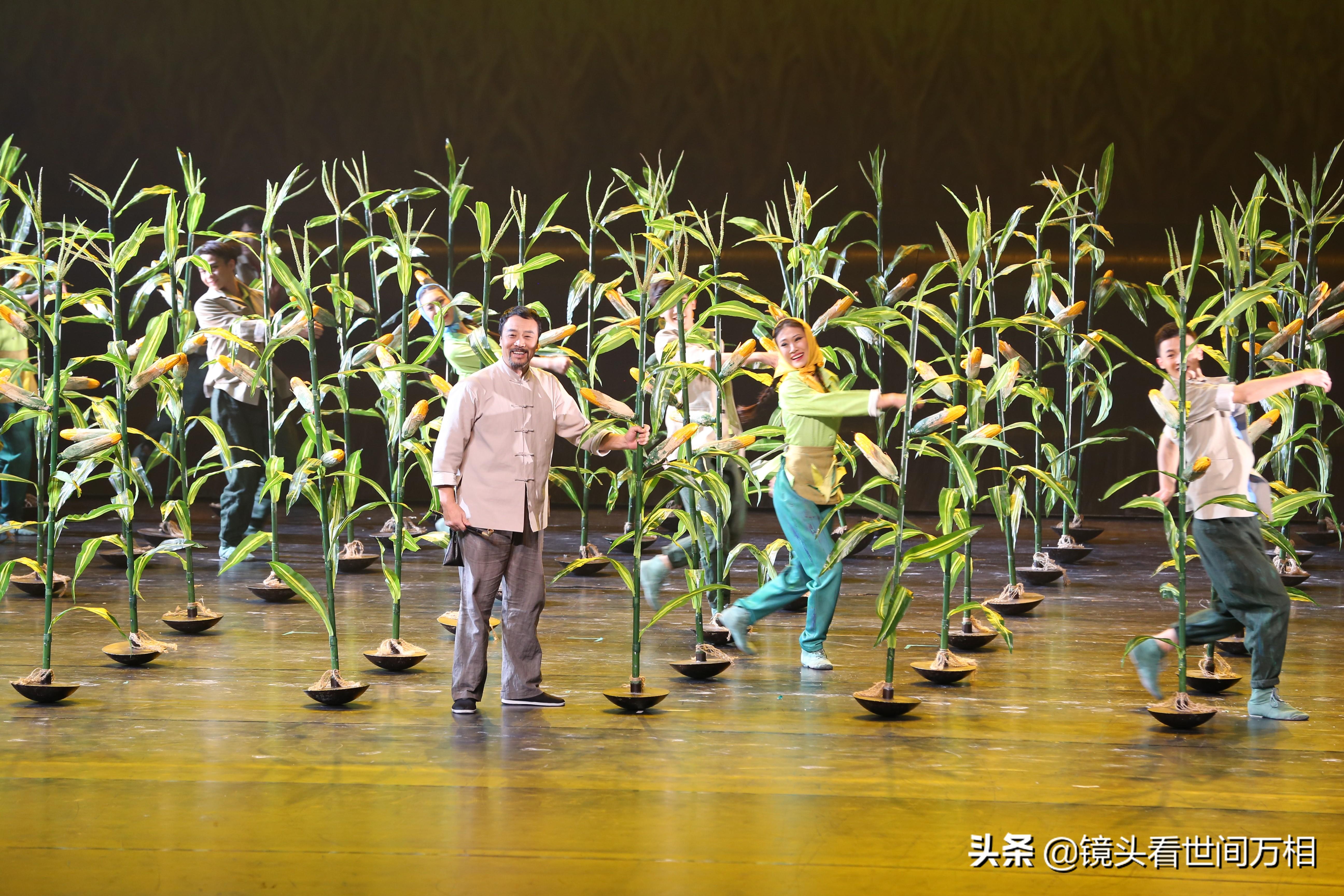 张宝宗最新任职，引领教育创新，共筑未来梦想