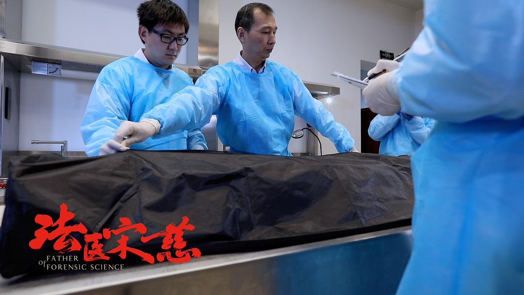 最新法医宋慈，科技与传统的交汇，探索真相的边界