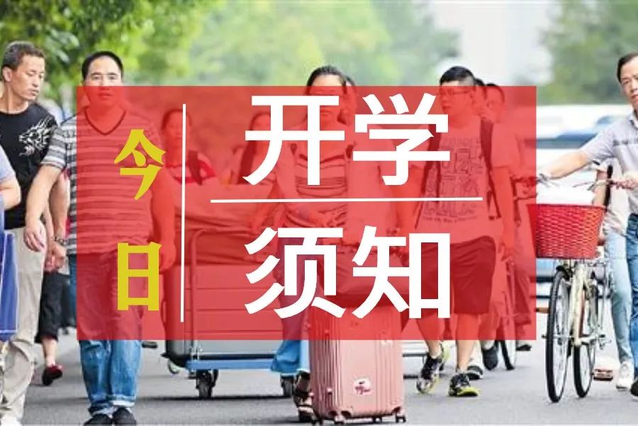 大学新生开学最新通知，迎接新学年的全面指南